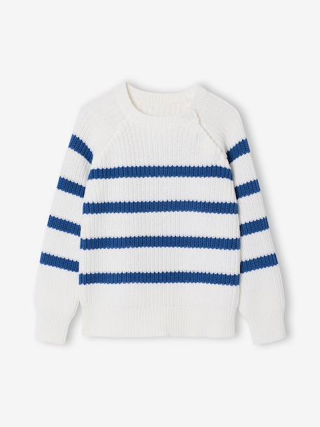 Pull garçon rayé bleu moyen+caramel+écru+encre+vert sauge 1 - vertbaudet enfant 