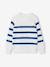 Pull garçon rayé bleu moyen+caramel+écru+encre+vert sauge 1 - vertbaudet enfant 