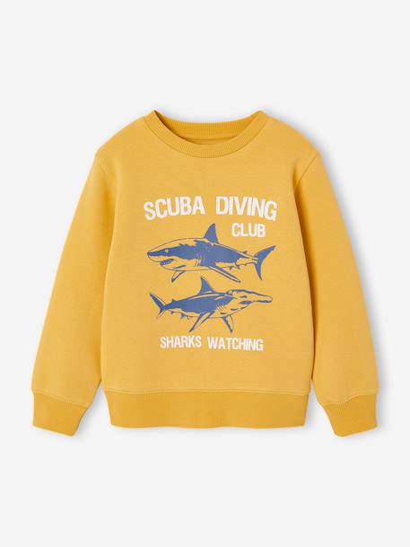 Sweat garçon fantaisie blanc chiné+bleu pâle+ocre+vert 7 - vertbaudet enfant 