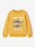 Sweat garçon fantaisie blanc chiné+bleu pâle+ocre+vert 7 - vertbaudet enfant 