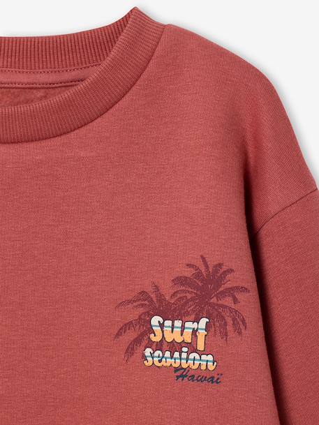Sweat col rond garçon manches lo bois de rose+jaune pastel 4 - vertbaudet enfant 