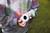 Talkie-walkie licorne x renard Blanc, marron 5 - vertbaudet enfant 