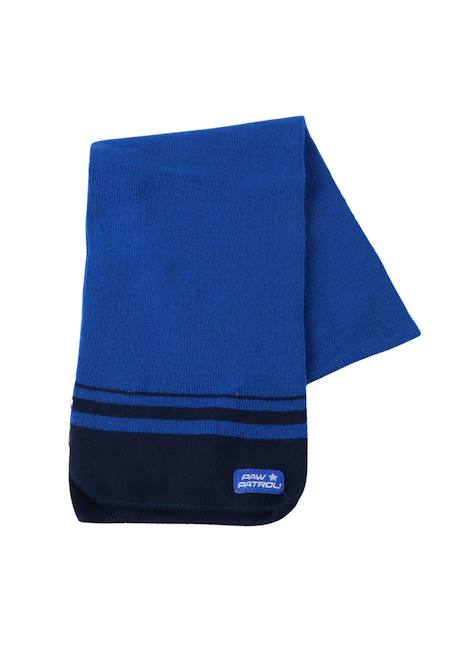 Ensemble d'hiver 3 pièces paw patrol Bleu 4 - vertbaudet enfant 