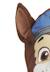 Bonnet à pois paw patrol marron bleu Marron 4 - vertbaudet enfant 