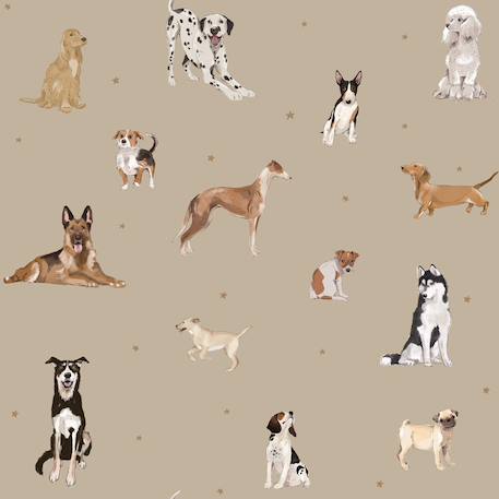 Papier peint chiens Beige 2 - vertbaudet enfant 