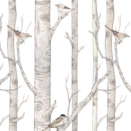 Papier peint enfants forêt de bouleaux Grey 2 - vertbaudet enfant 