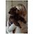 Chat en peluche lesté 1,2 kg Marron 3 - vertbaudet enfant 