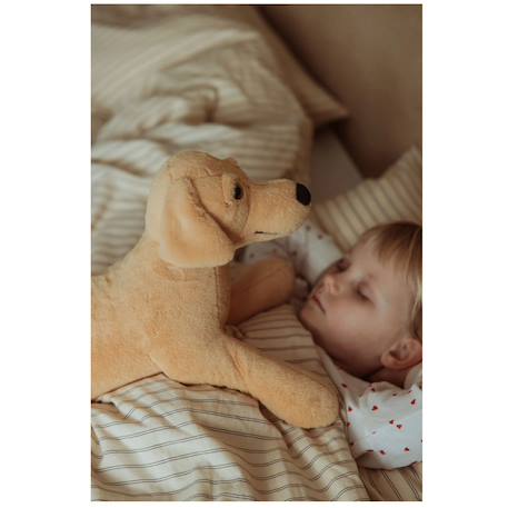 Chien en peluche lesté 2,2 kg Jaune 3 - vertbaudet enfant 
