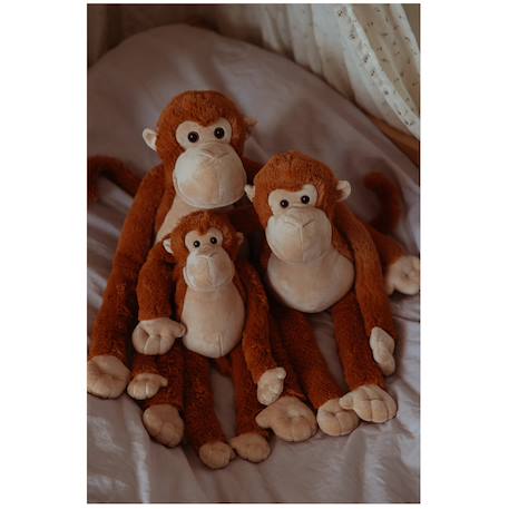 Singe en peluche lesté 1,1 kg Marron 4 - vertbaudet enfant 