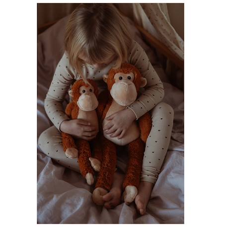 Singe en peluche lesté 1,1 kg Marron 3 - vertbaudet enfant 
