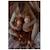 Singe en peluche lesté 1,1 kg Marron 3 - vertbaudet enfant 