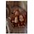 Singe en peluche lesté 0,5 kg Marron 4 - vertbaudet enfant 