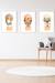 Lot 3 cadres muraux enfant zèbre + ours + cerf Multi coloured 3 - vertbaudet enfant 