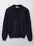 Pull col polo garçon Bleu fonce uni 1 - vertbaudet enfant 