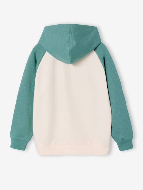 Sweat à capuche garçon Pat patrouille vert sauge 2 - vertbaudet enfant 