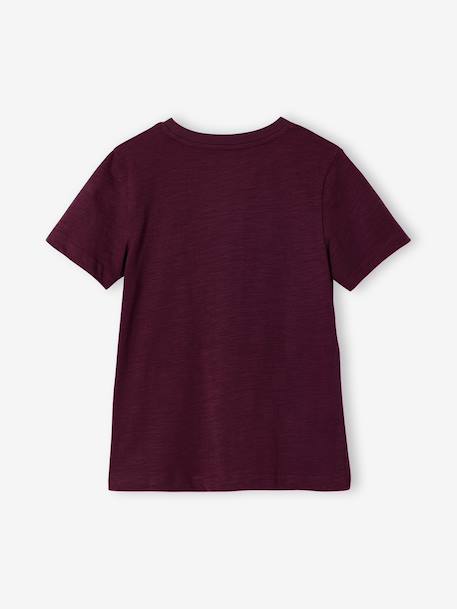 T-shirt garçon personnalisable manches courtes aubergine+blanc+BLEU+jaune pâle+mangue+sauge 3 - vertbaudet enfant 