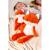 Peluche renard leggies orange brulé - 32 cm Orange 4 - vertbaudet enfant 