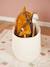 Cheval bâton brownie avec roulettes Brownie+Ginger+Magic 3 - vertbaudet enfant 