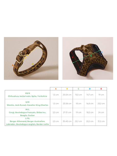 Set promenade pour chien : harnais + laisse + collier café 8 - vertbaudet enfant 