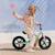 Draisienne Kinderkraft 2WAY NEXT avec Selle et Guidon Réglables, Roues EVA Sans Gonflage, Cadre Léger 3 kg et EN 71-1 Bleu+Menthe+Noir+Rose+Vert 8 - vertbaudet enfant 