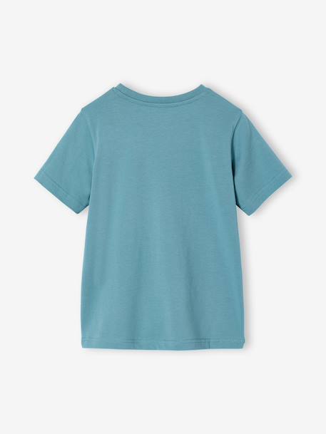 T-shirt garçon imprimé blanc chiné+bleu moyen+menthe+ocre+olive+terracotta+vert d'eau 22 - vertbaudet enfant 