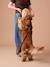 Set promenade pour chien : harnais + laisse + collier café 4 - vertbaudet enfant 