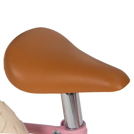 Draisienne Evolutive Garçon Bleu AOK12 acier 3-5 ans Draisienne Evolutive Garçon Bleu AOK12 acier 3-5 ans