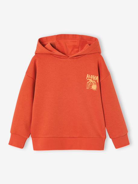 Sweat garçon à capuche motif poitrine bleu pétrole+orange 6 - vertbaudet enfant 