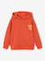 Sweat garçon à capuche motif poitrine bleu pétrole+orange 6 - vertbaudet enfant 