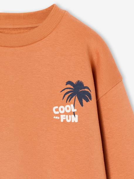 Lot de 2 sweats 'Cool and Fun' terracotta+tomette 9 - vertbaudet enfant 