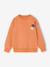 Lot de 2 sweats 'Cool and Fun' terracotta+tomette 12 - vertbaudet enfant 