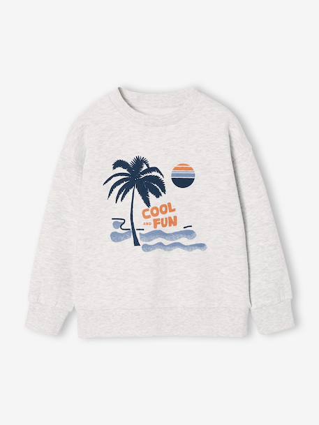 Lot de 2 sweats 'Cool and Fun' terracotta+tomette 11 - vertbaudet enfant 