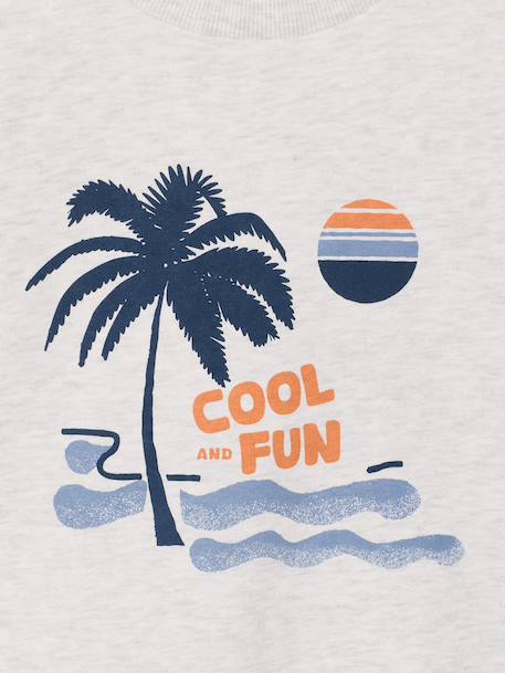 Lot de 2 sweats 'Cool and Fun' terracotta+tomette 10 - vertbaudet enfant 
