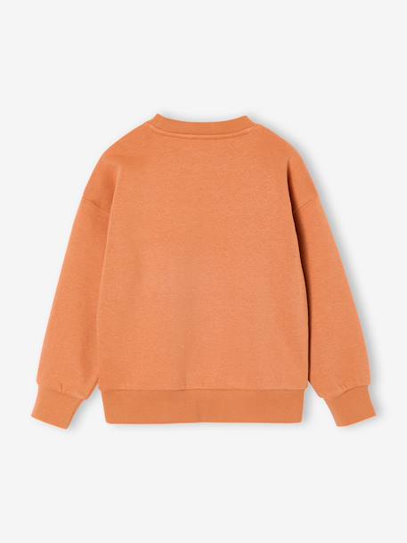Lot de 2 sweats 'Cool and Fun' terracotta+tomette 8 - vertbaudet enfant 