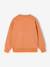 Lot de 2 sweats 'Cool and Fun' terracotta+tomette 8 - vertbaudet enfant 