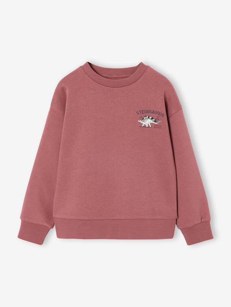 Lot de 2 sweats 'Cool and Fun' terracotta+tomette 5 - vertbaudet enfant 