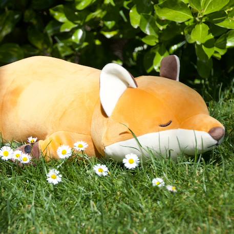Peluche konta le renard (53 cm) Orange, marron, écru 5 - vertbaudet enfant 