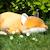 Peluche konta le renard (53 cm) Orange, marron, écru 5 - vertbaudet enfant 