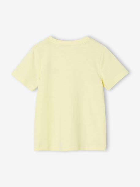 T-shirt garçon personnalisable manches courtes aubergine+blanc+BLEU+jaune pâle+mangue+sauge 21 - vertbaudet enfant 