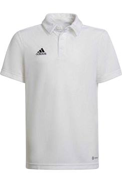 Garçon-T-shirt, polo, sous-pull-Polo entrada   entrada 22