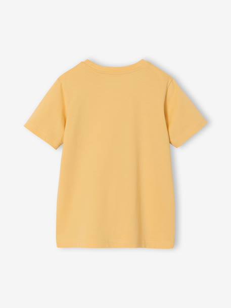 T-shirt garçon imprimé blanc chiné+bleu moyen+menthe+ocre+olive+terracotta+vert d'eau 12 - vertbaudet enfant 