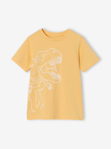 T-shirt garçon imprimé blanc chiné+bleu moyen+menthe+ocre+olive+terracotta+vert d'eau 11 - vertbaudet enfant 