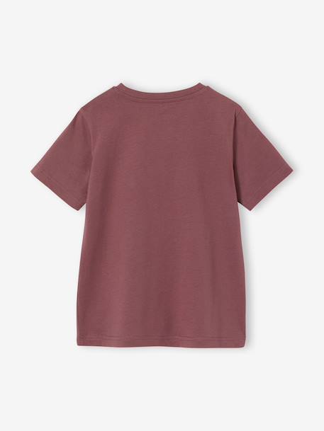 T-shirt garçon imprimé blanc chiné+bleu moyen+menthe+ocre+olive+terracotta+vert d'eau 19 - vertbaudet enfant 