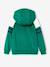 Sweat garçon zippé à capuche sport manches raglan marine+noix de pécan+vert 8 - vertbaudet enfant 