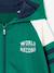 Sweat garçon zippé à capuche sport manches raglan marine+noix de pécan+vert 9 - vertbaudet enfant 