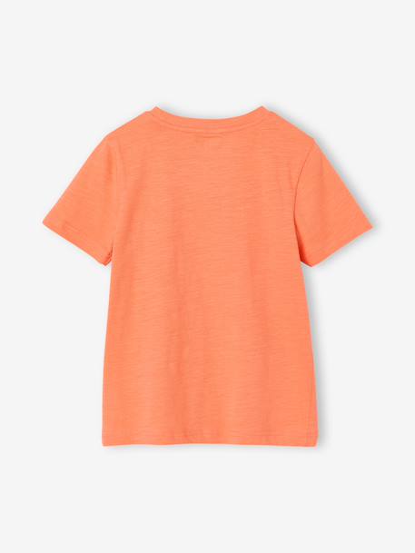 T-shirt garçon personnalisable manches courtes aubergine+blanc+BLEU+jaune pâle+mangue+sauge 29 - vertbaudet enfant 