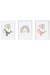 Lot 3 cadres muraux enfant baleines ballon Multi coloured 1 - vertbaudet enfant 