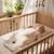 Gigoteuse d'été tog 0,5 en gaze de coton jeanne Beige+Blanc+Blanc à pois or+Bleu ciel+Camel+Écru+Gris clair+Rose+Terracotta+Vert de gris 2 - vertbaudet enfant 