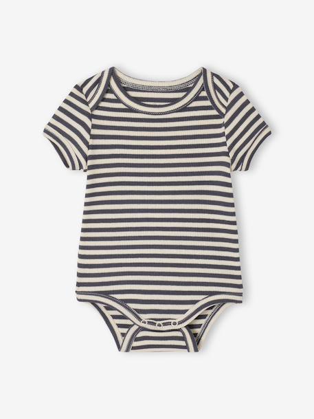 Lot 3 bodies bébé manches courtes chien anthracite 3 - vertbaudet enfant 