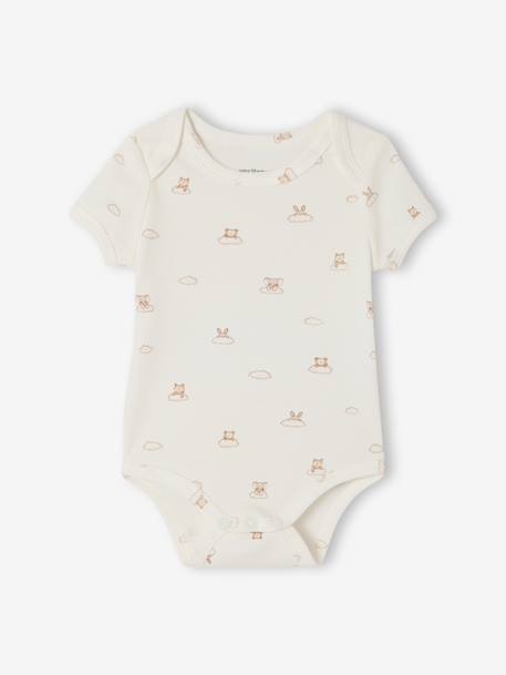 Lot 5 bodies manches courtes lapin nuage écru 2 - vertbaudet enfant 